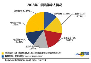 互联网数据服务迎来智能化与精准化新篇章 199it引领行业变革