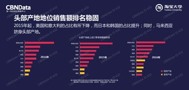中国市场新趋势 互联网数据资讯中心199it的数据服务崛起
